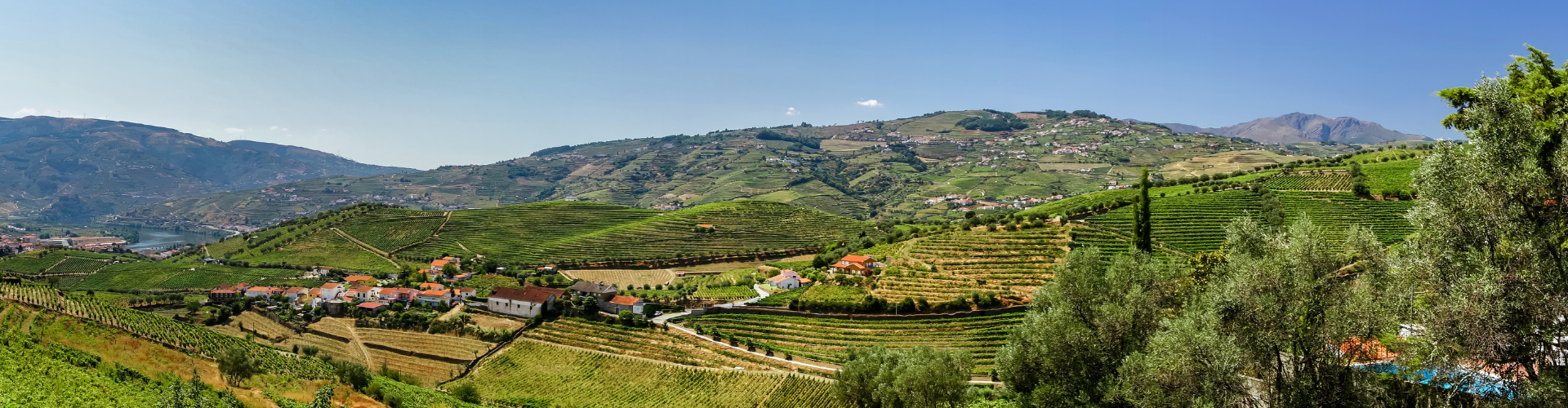 Douro - Portugal