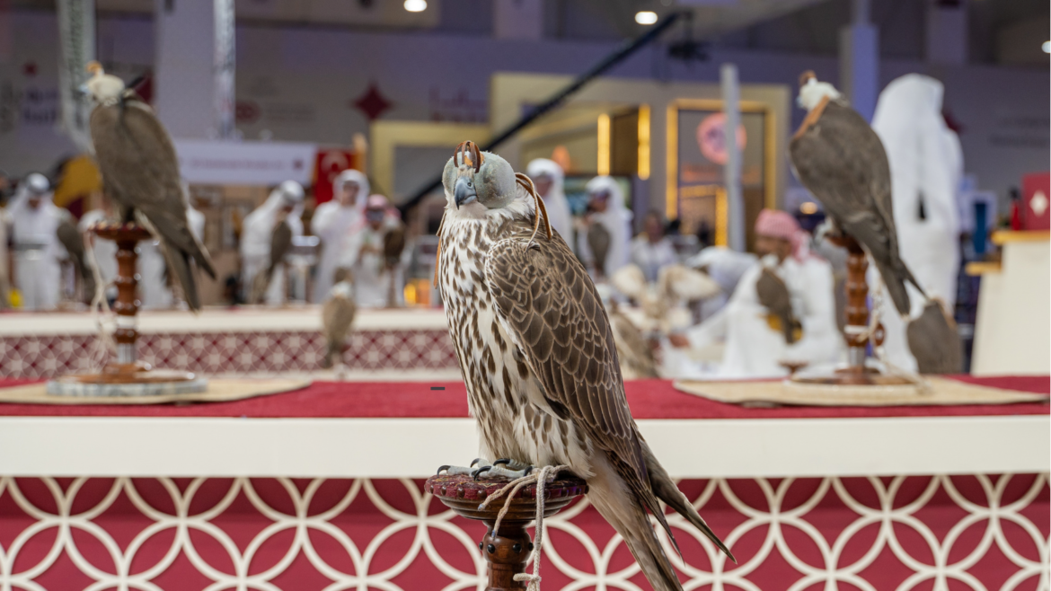 A Falcoaria no Qatar