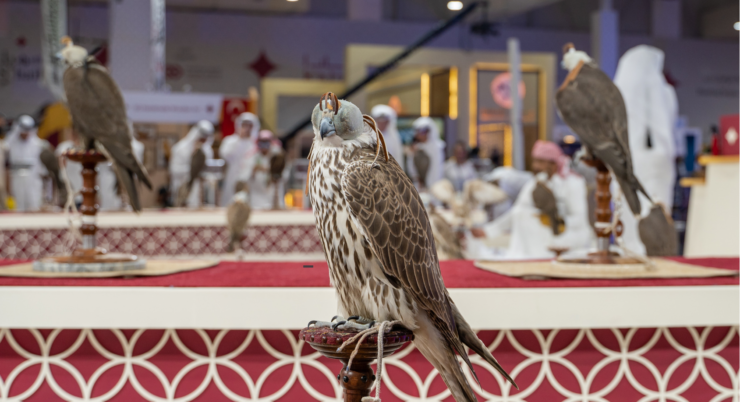 A Falcoaria no Qatar